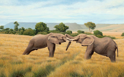 Elephants on the Mara Plain